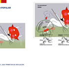 Popular Culture - Llimoi