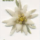 Edelweiss Reloaded