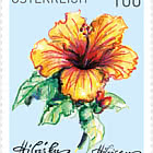 Loyalty Bonus Stamp 2025 - Hibiscus