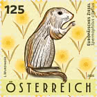 Lo Scoiattolo Terrestre Europeo - Spermophilus Citellus