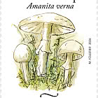 Narrenpilz