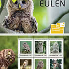 Magical Owls - Postcard Booklet