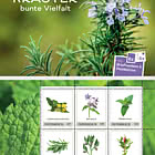 Hierbas Aromáticas - Una Colorida Diversidad - Folleto de Postales