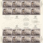 PRE-ORDER Archivi della Gustaf Erikson Shipping Company