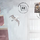 PRE-ORDER Archivi della Gustaf Erikson Shipping Company