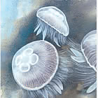 Коллекция марок на год