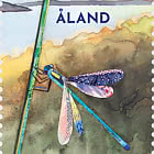 PRE-ORDER 夏日闪耀