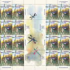 PRE-ORDER 夏日闪耀