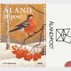 PRE-ORDER Winter Dreams - Bullfinch