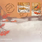 PRE-ORDER Winter Dreams