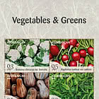 Verduras y Hortalizas Verdes
