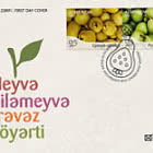 Frutas y Bayas