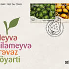 Frutas y Bayas