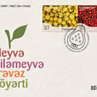 Frutas y Bayas
