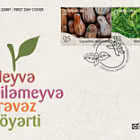 Verduras y Hortalizas Verdes
