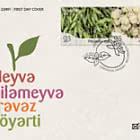 Verduras y Hortalizas Verdes