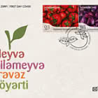 Verduras y Hortalizas Verdes