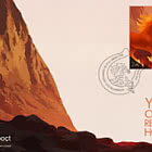 Year of the Red Fire Horse