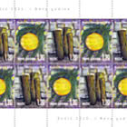 Navidad y Año Nuevo