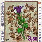 Flora y Fauna - Herzegovina bellflower y Tornjak dog