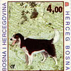 Flora y Fauna - Herzegovina bellflower y Tornjak dog