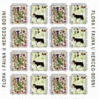Flora y Fauna - Herzegovina bellflower y Tornjak dog