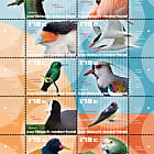 Bonaire - Birds of the Island