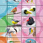 Saba - Birds of the Island