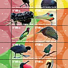 St. Eustatius - Birds of the Island