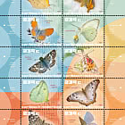 Bonaire - Butterflies