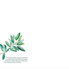 PRE-ORDER Colombe de la paix