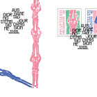 Pro Juventute - Apoyándonos Unos a Otros