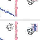 Pro Juventute - Apoyándonos Unos a Otros