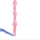 Pro Juventute - Apoyándonos Unos a Otros