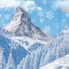 Look Invernale Timbro Crittografico Svizzero CHILI Giallo