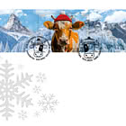 Look Invernale Timbro Crittografico Svizzero CHLI Arancione