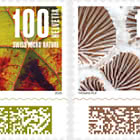 PRE-ORDER 自然图案