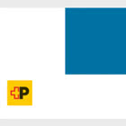 PRE-ORDER 自然图案