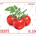 Estnische Tomaten-Malve F1 & Gewächshaus-Weiße Fliege