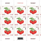 Estnische Tomaten-Malve F1 & Gewächshaus-Weiße Fliege