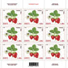 Estnischer Erdbeer-Helean & Erdbeerblütenrüssler