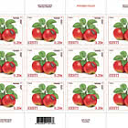 Estnischer Apfelwickler & Apfelwickler