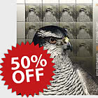 Sconto del 50% sui set di modelli dal 1991 al 2010.