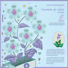 Centuries-Old Sweets – Violet Candies, Madrid