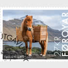 Faroese Horse
