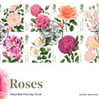 PRE-ORDER Roses