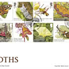 PRE-ORDER Moths