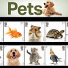 PRE-ORDER Mascotas