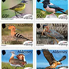PRE-ORDER Observatorio de aves de Alderney