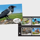 PRE-ORDER Observatorio de aves de Alderney